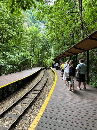 The image depicts a group of people standing on a wooden platform next to a set of train tracks. The platform is covered by a wooden canopy, and lush green trees surround the area, suggesting a natural, possibly mountainous, setting. The train tracks curve away from the viewer and disappear into the distance.

The people appear to be waiting, possibly for a train. Their clothing is casual and suited for warm weather. One woman in the foreground is looking towards the camera with a slight smile. The overall atmosphere seems relaxed and leisurely. The lighting suggests it is daytime, and the abundance of green foliage indicates a time of year with active plant growth. The presence of a fenced area and what appears to be a safety line on the platform suggests this is a tourist attraction or a station designed for visitor access.

While the image does not contain any visible text, the context of Guamka, Russia, suggests this could be a scenic railway or a location known for its natural beauty accessible by train. The image captures a moment of pause and anticipation within a tranquil, verdant environment.