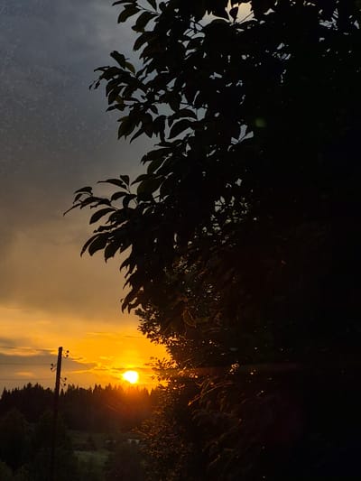 The image captures a sunset over a rural landscape, likely in or near Doinaya, Russia. Silhouetted against the vibrant orange and yellow sky are the dark shapes of trees and a forest in the middle ground. A wooden utility pole with wires stands to the left of the frame, a man-made element in the natural scene. The foreground is dominated by the dark silhouette of a large tree with visible leaves, casting a shadow over the right side of the image. Small, bright specks are scattered across the darker portions of the sky and the silhouetted foliage, possibly representing dust or insects caught in the light. The overall mood is one of natural beauty as day transitions into evening.