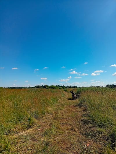 A dirt path cuts through a field of tall, dry grass. The path leads toward a small, dark-colored object, possibly a bicycle or motorcycle, parked on the right side of the path. In the distance, a line of trees forms the horizon against a bright blue sky dotted with a few white clouds. The scene appears to be in Kolomak, Ukraine, given the provided context.