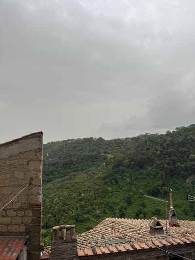 The image shows a view from a building in Castelnuovo di Porto, Italy. The sky is overcast and grey. A densely forested hillside rises up from the valley below. The edge of a building in the foreground shows a terracotta-tiled roof with a chimney and antenna. Another building edge is present, made of stone and concrete.