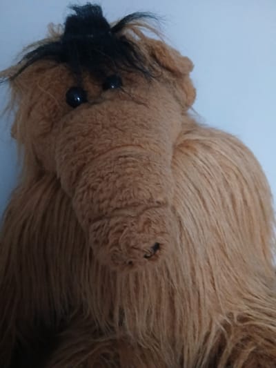 An up-close, full-frame studio shot shows a tan, plush toy character with a long snout and black hair sticking up from its head. The toy has two black, shiny eyes and a small black nose. The background is a plain, light blue wall. The lighting is soft and diffused, casting no harsh shadows. The image is a portrait of the toy, centered and slightly tilted.