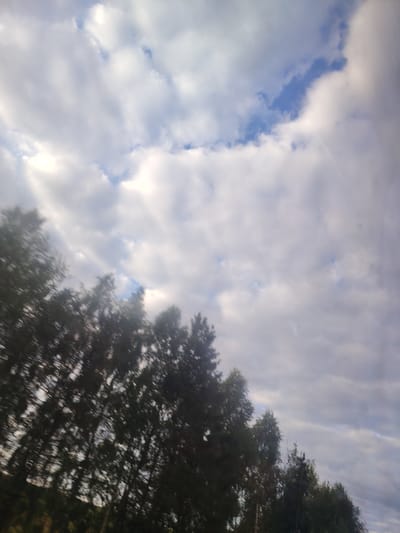 The image shows a view of trees and the sky, likely taken from a moving vehicle in Ryabinki, Russia. The trees are dark and appear to be in motion blur, suggesting they are passing by quickly. The sky is partly cloudy with patches of blue sky visible through the clouds. The lighting suggests it is daytime. The overall impression is a natural landscape.