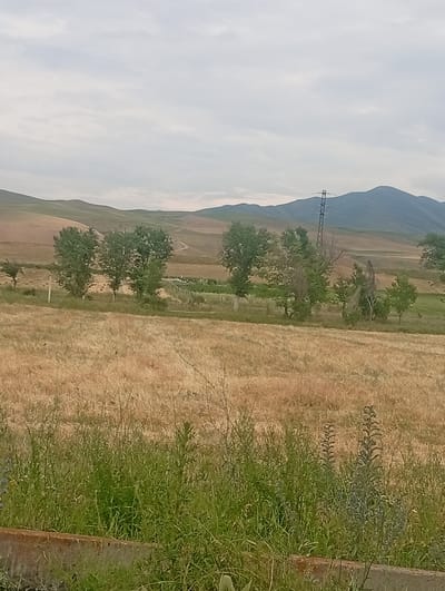 An outdoor, medium-shot, vertically oriented photograph captures a pastoral landscape under an overcast sky in Tash-Moinok, Kyrgyzstan. The foreground is dominated by a patch of tall, green grass and some wildflowers growing along a rough concrete edge. Behind this, a field of dried, golden hay stretches towards a line of trees. Further back, rolling hills in shades of green and tan rise towards distant, darker blue mountains. A tall, dark metal power line tower stands on the right side of the frame, situated between the hayfield and the hills. The scene is tranquil and appears to be rural.