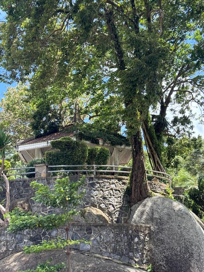 The image captures a gazebo perched atop a stone wall, nestled within a lush, green environment. The gazebo, with its tiled roof and white trim, is partially obscured by dense foliage and climbing vines, giving it an overgrown, natural appearance. A large tree with thick, gnarled roots grows prominently to the right of the gazebo, its branches extending over the structure. The stone wall supporting the gazebo is constructed with rough-hewn stones and features decorative patterns.
In the foreground, a small, leafy tree stands near the base of the stone wall. The surrounding area is abundant with vegetation, including palm trees visible in the background and various shrubs and bushes. The sky above is a bright blue with scattered white clouds, suggesting a clear, sunny day.
The scene appears to be a tranquil, outdoor location, possibly a garden or park area. The natural elements, including the large rocks and extensive plant life, indicate a setting integrated with the landscape. The overall impression is one of serene, natural beauty, enhanced by the architectural element of the gazebo. This location is likely a public space, offering a place for rest and reflection amidst the vibrant greenery.