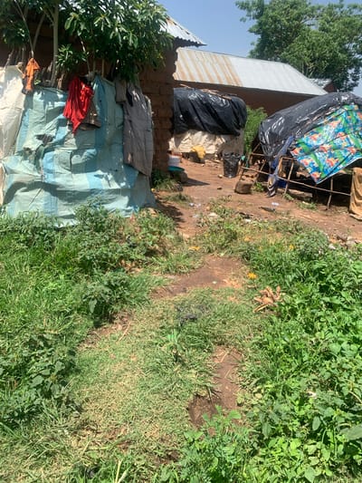 In Buga da Gindi, Nigeria, an outdoor scene unfolds. A rustic dwelling, constructed of mud brick and adorned with a corrugated metal roof, stands partially obscured by a large, torn blue and white tarp. Clothing, including a red shirt and a gray jacket, hangs from branches and a wooden structure near the house. Adjacent to the dwelling are two makeshift shelters covered with black plastic sheeting, one of which has a colorful, patterned tarp as a roof. The ground is a mixture of dirt and dry grass, with patches of lush green vegetation growing throughout. Debris, including plastic bags and bottles, is scattered across the area. The overall impression is one of a humble, rural settlement, possibly in a state of disrepair or undergoing construction.