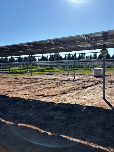 The image depicts a solar panel installation in Galatro, Italy. Solar panels are visible on the left side of the frame, angled towards the clear blue sky. The ground is a mix of bare earth and patches of green grass. Metal support structures for the solar panels extend into the distance, creating a linear pattern. A white box labeled "Jinko Solar" is visible mounted on one of the supports. The right side of the image is dominated by a large shadow, likely cast by the solar panel array. The overall environment appears to be a rural or agricultural setting.
