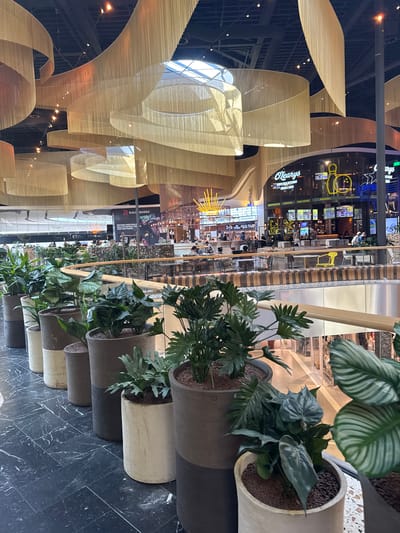 The image depicts the interior of a modern shopping mall in Leidschendam, Netherlands, likely at Westfield Mall of the Netherlands. Suspended from the ceiling are large, curved decorative elements made of golden chainmail or similar material, creating a dynamic and layered aesthetic. Natural light filters in from skylights above.
In the foreground, a row of large potted plants lines a walkway. These plants are diverse, with some featuring broad, dark green leaves and others having more delicate, feathery foliage. They are housed in cylindrical planters of varying colors and textures, including dark grey, beige, and concrete-like finishes. The walkway itself is paved with dark, polished marble tiles featuring white veining.
Beyond the plants, a central atrium or open space of the mall is visible. This area features multiple levels, with railings and balconies overlooking lower floors. Several businesses are visible, including "O'Learys," a sports bar and restaurant, indicated by prominent signage and displayed televisions showing sports. Other establishments appear to be food vendors or shops, with patrons seated at tables and walking around.
People are present throughout the mall, scattered across different levels and dining areas. They are engaged in various activities such as dining, conversing, and walking. The overall environment suggests a bustling and contemporary retail and entertainment complex. The specific location within the mall is characterized by its combination of architectural design, green elements, and commercial activity.