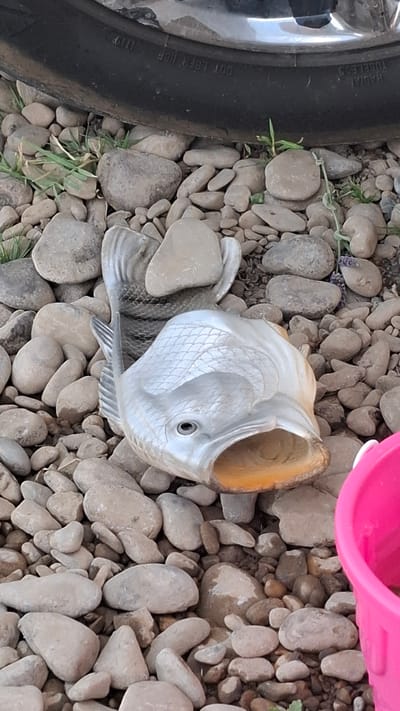 The image depicts a silver, fish-shaped sandal lying on a bed of gray and brown river stones. The sandal is positioned with its mouth open, revealing an orange interior. The tire of a vehicle is visible in the upper portion of the frame, partially obscuring some of the stones and grass. To the right, a portion of a bright pink bucket is visible. The scene appears to be an outdoor setting, likely near a body of water, possibly in the vicinity of Боралдай, Kazakhstan, suggested by the river stones and the presence of a tire. No people are present in the image.