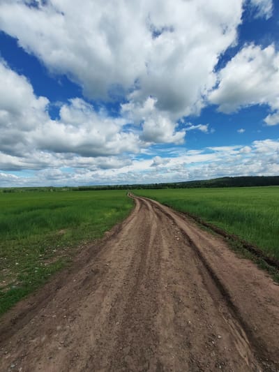 The image depicts a dirt road winding through a vast, vibrant green field under a bright blue sky filled with fluffy white clouds. The road appears to be unpaved and has tire tracks. The field stretches to the horizon, where a dark green forest borders it. The sky is dramatic with a mix of sunlit and shadowed clouds, suggesting dynamic weather. The scene conveys a sense of open space and natural beauty. The location provided is the city of Gorniak, Russia, which is known for its rural landscapes and natural surroundings.