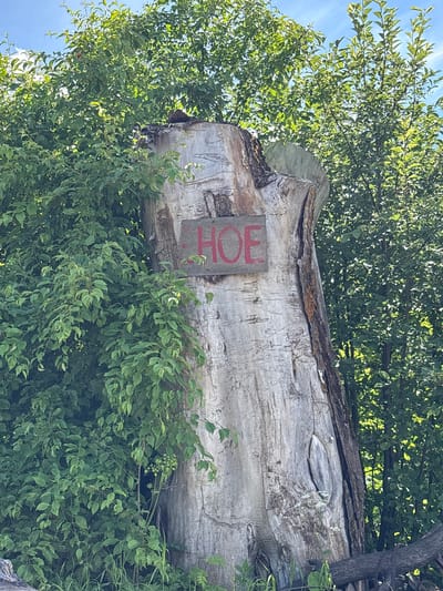 The image depicts a large, weathered tree stump with the word "HOF" painted in red on a wooden sign attached to its trunk. The stump is old and appears to have been hollowed out, with a large oval-shaped opening visible on its side. The trunk is textured with lines and cracks, suggesting age and exposure to the elements. The stump is situated amidst lush green foliage, with trees and bushes forming a dense backdrop. In the upper portion of the image, a bright blue sky with wispy clouds is visible. A small, rustic wooden fence is partially visible at the bottom of the frame. The overall impression is one of a natural, possibly rustic or rural setting. There are no people or animals visible in the image, and no clear indication of the specific location within Дресвяново, Russia.