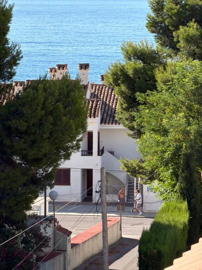 The image shows a view of the Mediterranean Sea from a residential area in Alcalà de Xivert, Spain, specifically from a vantage point looking over rooftops and trees towards the water. A white building with a terracotta tile roof and decorative chimneys is prominent. In front of the building, two men are walking. One man, shirtless and wearing grey shorts, is walking from left to right. Behind him and slightly to the right, another man in a white t-shirt and grey shorts is walking in the same direction. A lush green pine tree is in the foreground on the left, and a dense green hedge is on the right. The sea is visible in the background, a clear blue expanse. Electrical wires and a lamppost are also present in the scene.
