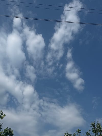 A bright, clear blue sky is visible, partially obscured by wispy white clouds. Three dark, thin power lines are stretched horizontally across the upper portion of the image. The lower edge of the frame shows the tops of lush green foliage and some small white flowers, suggesting the image was taken outdoors, likely in a park or garden setting in Maļutki, Latvia. There are no people or discernible actions captured in the scene.