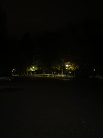 A night scene depicts a dark road flanked by a fence. Streetlights illuminate the path intermittently, casting dim light on the foliage along the fence. A parked car is visible in the lower portion of the frame. The surrounding environment is shrouded in darkness, emphasizing the limited visibility and the glow of the lamps.