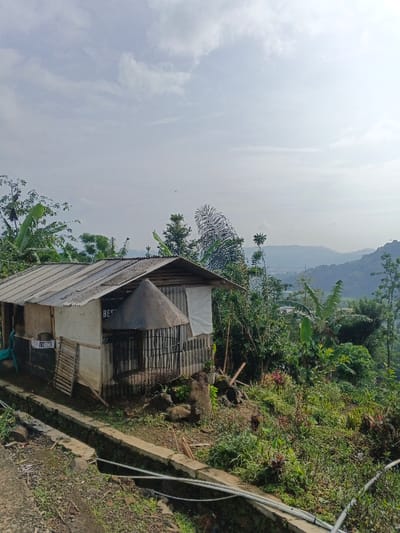 A weathered shack with a corrugated metal roof and partially open sides sits amidst lush vegetation, including banana trees. A unique, domed cage-like structure is attached to the side. The scene overlooks rolling hills, with a hazy sky above. A concrete drainage ditch runs along the front, contrasting with the natural surroundings. The overall atmosphere evokes a rural, possibly tropical, setting.