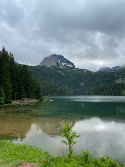 This media file captures a serene landscape featuring a large mountain lake in the Pitomine region of Montenegro, likely within Durmitor National Park. The image is oriented vertically (rotated 90 degrees clockwise) but depicts a horizontal vista.
The dominant features are a calm, greenish-grey lake occupying the central and right portions of the frame, and a rugged, imposing mountain rising on the left. The mountain is heavily forested with dense evergreen trees, and its upper slopes show patches of snow, indicative of a high altitude. The sky above is overcast with heavy, grey clouds, suggesting a cloudy or potentially rainy day, though light reflects off the lake's surface, creating a silvery ripple effect.
Along the lake's left bank, a dirt path winds through the forest, where several empty wooden benches are arranged. Two small figures are visible on this path, seated on one of the benches, appearing to be resting or observing the scenery. One figure wears a pinkish top, and the other a bluish-purple top. The right bank of the lake features a lush green grassy area with small yellow and white wildflowers, and a few young leafy saplings growing close to the water's edge. The still water of the lake beautifully reflects the surrounding mountains, trees, and cloudy sky, creating a mirrored effect.
The overall scene conveys a sense of tranquility and natural grandeur. There is no visible text in the image.