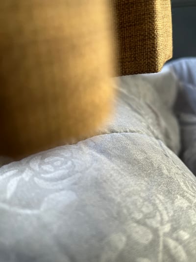 The image displays a close-up, shallow depth of field view of a light-colored fabric with a subtle floral pattern, likely a blanket or bedding. A textured, brown, woven material is visible in the upper right quadrant, possibly the corner of a piece of furniture like a couch or chair. The foreground is dominated by the soft, creased texture of the light fabric. The lighting suggests an indoor environment, possibly illuminated by natural light. There are no people or discernible actions visible. The image does not provide any information about the city of Denokan, Indonesia, or its surroundings.