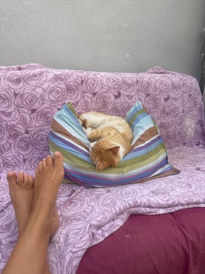 An orange tabby cat sleeps curled up on a striped pillow. The pillow rests on a lavender blanket with a rose pattern. To the right of the pillow, a person's bare feet are visible, with their legs crossed. The setting appears to be outdoors, possibly on a balcony or patio, given the light gray textured wall visible to the left and the bright lighting, suggesting daytime. The overall mood is peaceful and relaxed, with the cat appearing very comfortable. The scene is likely in Shaar HaNegev Regional Council, Israel.