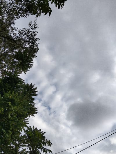 The image presents an upward perspective of an overcast sky in the city of Panton, Indonesia. The sky occupies the majority of the frame, dominated by an arrangement of white and gray clouds, with isolated patches of lighter blue sky visible through the cloud cover. Dark green foliage from trees is visible along the upper left and lower left edges of the frame, extending inwards. A thin, dark, horizontal line, consistent with a utility wire or cable, is present in the lower right quadrant, extending across a small portion of the scene. No individuals, specific subjects, actions, or interactions are discernible within the frame.