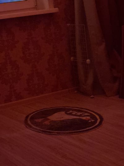 The image shows a dark, dimly lit room with red wallpaper and wooden flooring. In the foreground, a circular rug with a dark border and an image on it is visible. The image on the rug appears to be a stylized depiction of a duck or goose, with some text, possibly "YEP," above it. In the background, there is a metal rack with round objects, possibly decorative spheres or lights, attached to it. A curtain is visible behind the rack, and a window ledge can be seen in the upper left corner. The scene is consistent with an indoor setting. The location of Radkevshchina, Russia is not visually discernible from the provided image.