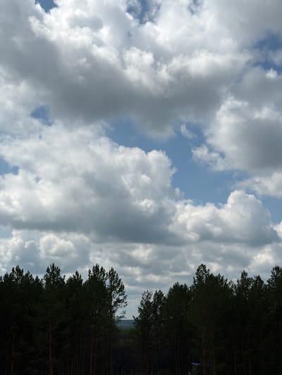 The image depicts a dense forest of tall, dark green coniferous trees silhouetted against a sky filled with a mix of bright white and dark gray cumulus clouds. The clouds dominate the upper two-thirds of the frame, with patches of blue sky visible between them. The forest forms a dark, undulating line across the bottom third of the image, with the tops of the trees creating a jagged horizon. There are no people, animals, or man-made structures clearly visible in the foreground or midground. The background, visible as a hazy area behind the trees, suggests a more distant landscape, possibly rolling hills or more forest. The overall impression is one of a natural, somewhat overcast, and remote environment. The location in the city of Tsiolkovsky, Russia, is not discernable from the visual elements of the image itself.
