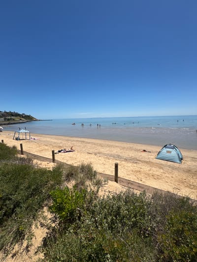 The image depicts a serene and sunny beach scene, likely in Frankston, Australia. The upper half of the frame is dominated by a vast, clear blue sky, indicating bright daylight. Below the sky, a calm, light blue ocean stretches towards the horizon, with its shallow waters closer to the shore.

The sandy beach occupies the middle and foreground of the image. Numerous small figures of people are visible scattered throughout the shallow ocean waters, wading or swimming. On the sand, a light blue pop-up beach tent offers shade in the mid-right. Two individuals are seen lying on the sand; one near the water's edge and another closer to the right, both appearing to be sunbathing.

Along the right side and lower foreground, dense green coastal vegetation, consisting of bushes and grasses, lines the beach, possibly forming dunes or a natural barrier. Several wooden posts are strategically placed along this vegetated border, potentially marking a path or boundary. In the far distance on the left, a long pier or jetty extends into the water, with parts of a distant coastline or town visible beyond it.

The bright, clear conditions suggest it is mid-day with excellent weather, perfect for beach activities like swimming and sunbathing. The overall atmosphere conveys relaxation and leisure. There is no discernible text visible in the image.