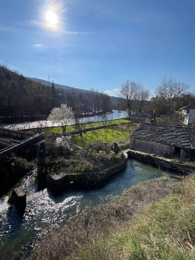 The image depicts an outdoor landscape in Blagaj, Bosnia and Herzegovina, under a clear, bright blue sky with the sun prominently visible in the upper left quadrant. A wide watercourse, reflecting strong sunlight, traverses the mid-ground. In the foreground, a section of this watercourse diverges, with a narrower channel flowing around a moss-covered, irregularly shaped stone island densely vegetated with shrubs and yellow flowering plants. Water flows rapidly past a dark, rectangular concrete block in the lower left, eventually rejoining the main channel.
Adjacent to the right side of this foreground channel stands a single-story, light-colored stone building featuring a dark, weathered multi-layered stone tile roof and a dark rectangular entryway. Further upstream along the main watercourse, a distinct rectangular area of vibrant green grass contains multiple small, uniformly spaced, bare trees. A single, large white-blossoming tree stands at the left edge of this green area, positioned near the water's edge. To the far left, a series of rectangular, concrete-lined water channels, consistent with a fish farm or water control structure, are partially visible. Distant hills, covered predominantly with deciduous trees in a bare state, form the background, with power transmission lines and poles discernible on their slopes. The immediate foreground consists of dry, matted grass and brush. No human subjects are present.