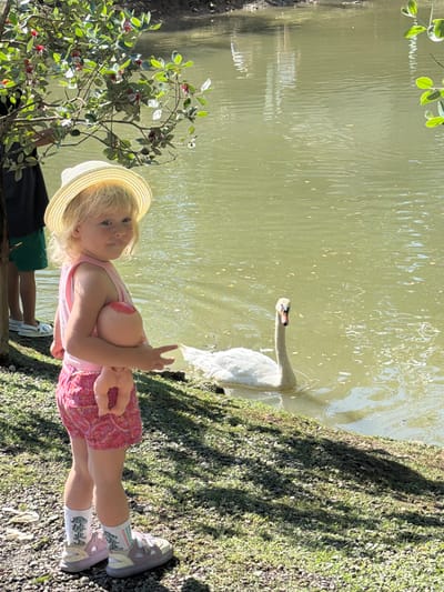 A young girl wearing a straw hat and pink dress stands on a grassy bank next to a body of water. She is holding a doll. A swan swims in the water nearby. The sun is shining, casting shadows on the grass. The scene appears to be in a park or natural area.