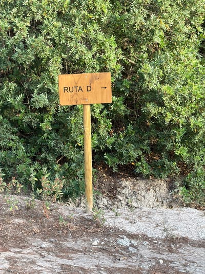 A wooden sign with black lettering that reads "RUTA D" and an arrow pointing to the right is mounted on a wooden post. The sign is positioned in front of a dense green bush. The ground in front of the bush is covered with dry leaves, pine needles, and small stones. A concrete path is visible in the foreground. The image appears to have been taken in Montuïri, Spain.
