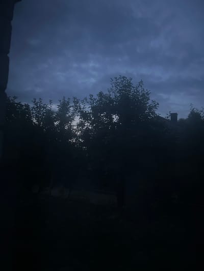 The image depicts a dark, overcast sky above a silhouetted landscape. Trees with dense foliage dominate the foreground, obscuring much of the background, which includes the roof of a building with a chimney. The overall impression is one of twilight or a stormy day in a rural or suburban setting, possibly in Sobishchytsi, Ukraine, given the prompt. The lighting is low, creating deep shadows and a sense of gloom. No people or specific actions are discernible due to the darkness and the framing of the shot.