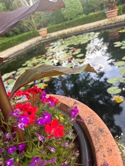 In Mid Sussex, United Kingdom, a close-up view of a terracotta pot filled with vibrant red and purple flowers is captured. The pot itself is textured with age and is positioned in front of a tranquil pond. The pond's surface is covered with lily pads, and reflections of the sky and surrounding greenery are visible. In the background, manicured hedges and pathways suggest a formal garden setting, possibly a public park or a private estate. No people are present in the frame.