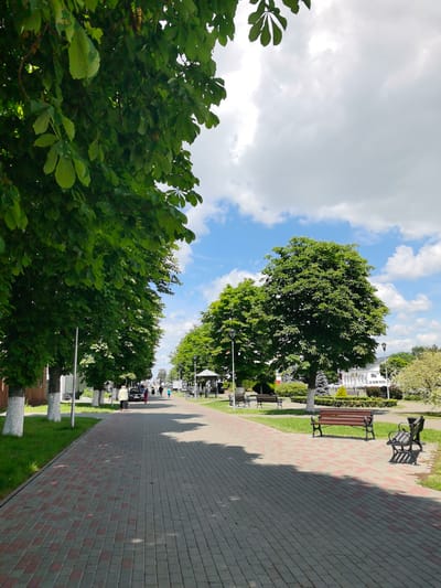 This image depicts a sunlit public park or promenade in Pinsk, Belarus. The scene is dominated by a paved walkway lined with mature trees, their lush green foliage casting dappled shadows on the path. The walkway is constructed of red and gray brick pavers.

Several people are visible walking along the path, indicating a leisurely atmosphere. Some are dressed in casual attire, suggesting it's daytime. A black car is parked on the side of the walkway, and bicycles are visible in the distance, implying this is a public area with transportation access.

Park benches are strategically placed along the walkway, some empty and others perhaps recently occupied. A gazebo or covered seating area is situated further down the path, offering shelter. The background reveals buildings, some appearing to be commercial or institutional, with a bright, clear sky filled with fluffy white clouds above.

The lighting and the vibrant green of the trees suggest a warm, pleasant day, likely late spring or summer. The overall mood is serene and inviting, portraying a typical scene in a well-maintained urban green space. There is no visible text in the image.