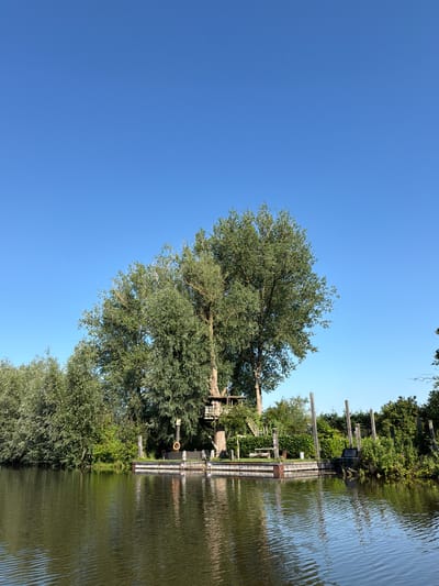 The image depicts a serene waterscape in Acquoy, Netherlands, on a clear day with a vibrant blue sky. In the foreground, calm, dark water with subtle ripples reflects the sky and surrounding greenery. A wooden dock with a low railing extends into the water on the right side of the frame. The dock is furnished with a bench and a life preserver.

Dominating the midground are several large trees, their lush green foliage reaching towards the sky. Nestled within the branches of the central, largest tree is a multi-story treehouse, accessible by an exterior wooden staircase. The treehouse appears to be constructed from light-colored wood.

To the left of the main trees, a dense wall of green vegetation lines the water's edge, suggesting the presence of a canal or riverbank. Wooden posts stand along the dock and the bank, some appearing weathered and others more recently installed. The overall impression is one of a tranquil natural setting with a whimsical man-made addition.