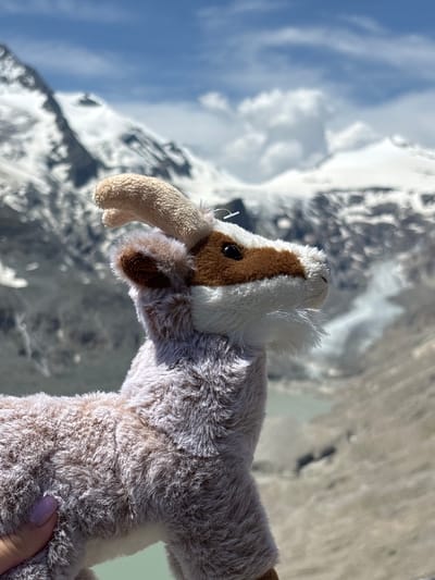 A stuffed toy goat with brown and white fur stands in the foreground, its head turned to the right, facing a hazy mountain landscape. The toy has a prominent brown patch over its eye and a lighter brown ear. Its body is covered in fluffy, light brown and white fur. The background features snow-capped mountains under a bright blue sky with scattered white clouds. A body of water, possibly a lake, is visible in the middle ground, with a plume of smoke or mist rising from the terrain. A fingernail, painted with purple nail polish, is visible at the bottom left, holding the stuffed toy. The scene is set in Heiligenblut am Großglockner, Austria, given the distinctive mountainous terrain.