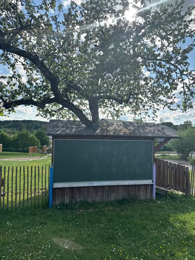 The image shows an outdoor scene in Manternach, Luxembourg. In the foreground, a large tree with white blossoms partially obscures the view of a chalkboard attached to a wooden structure, possibly a small shed or playhouse. A large purple crayon rests on top of the chalkboard. The ground is covered in green grass with small yellow and white flowers. A rustic wooden fence runs along the bottom and right side of the frame. In the background, there is a glimpse of a valley with trees and rolling hills. The sky is blue with scattered white clouds, and the sun's rays are visible through the tree branches. There are no people visible in the image.