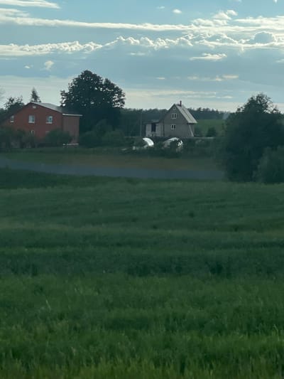 The image shows two houses in a rural area. The house on the left is red, and the house on the right is gray. There is a road between the two houses. A field of green grass occupies much of the right side of the image, and the sky is filled with clouds. It appears that the location is Петрово, Russia.