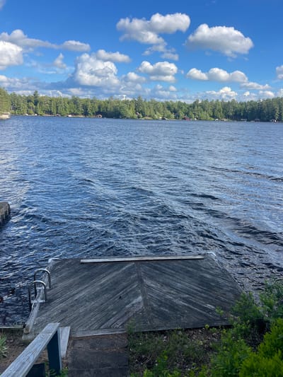 The image shows a body of water with ripples, indicative of a gentle breeze. A wooden dock with metal railings is in the foreground, extending into the water. The shore behind the dock is lined with lush green trees and several houses are visible nestled amongst the trees along the distant shoreline. The sky is blue with scattered white clouds. The location is identified as Brantingham, United States.