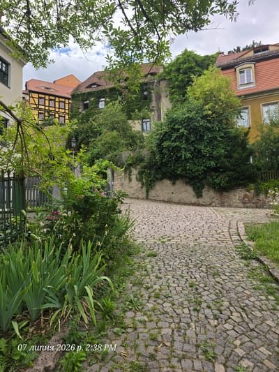 The image depicts a cobblestone alleyway winding through a European city. In the foreground, lush green plants and flowers are growing on the left side of the alley, some with visible pink blossoms. A dark green metal fence lines the left edge of the alley. The alley itself is paved with irregularly shaped gray cobblestones, with patches of grass and small weeds growing in between them.
The buildings lining the alley are old and charming. On the left, a portion of a cream-colored building is visible with dark green window frames. Further back, a traditional half-timbered building with yellow walls and dark wooden beams is visible, topped with a red-tiled roof. To the right of this, a building is heavily overgrown with green ivy, with visible windows and a red-tiled roof. Further down the alley on the right, another building with yellow facade and a red-tiled roof is partially visible, with dormer windows.
The alley curves to the right and disappears into the distance, bordered by a stone wall on the right, also partially covered in ivy. A wooden fence is visible along the top of the stone wall. A vintage-looking lamppost stands near the fence on the left. The sky is cloudy, suggesting an overcast day. The timestamp in the bottom left corner indicates "07 июля 2026 р. 2:38 PM," which translates to "July 7, 2026, 2:38 PM." The style of architecture and the cobblestone streets strongly suggest an old European city, consistent with a location in Meissen, Germany.