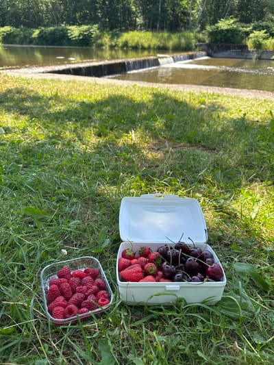In this close-up, outdoor shot, two containers of fresh berries are placed on a grassy surface. To the left, a white, rectangular container is filled with a mix of dark red cherries and bright red strawberries. The lid of this container is open, revealing the fruit inside. To the right and slightly below, a clear, square plastic container holds a generous portion of vibrant red raspberries. The berries are the primary focus, with the green grass serving as their backdrop.
In the background, a body of water with a visible cascade or dam creates a linear element stretching from the top left towards the center. Trees line the far bank of the water, casting shadows and adding depth to the scene. The lighting suggests it is daytime, with sunlight dappling through the foliage and illuminating the grass and berries. The overall impression is one of a pleasant outdoor activity, possibly a picnic or a break during an excursion. The image captures the abundance of fresh, ripe fruit in a natural setting. The location is identified as Ustroń, Poland. No people are visible in the frame, and there is no visible text.