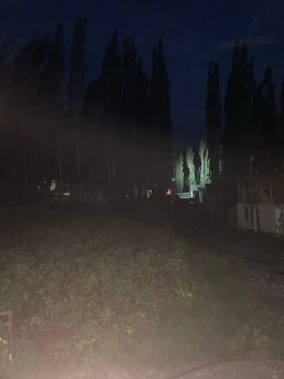 The image depicts a dark, rural nighttime scene in the village of Жаңы-Коргон, Kyrgyzstan. The foreground is dominated by a dense patch of greenery, likely a field or dense vegetation, illuminated by a bright, diffused light source from the lower left, possibly a vehicle's headlights. In the mid-ground, a row of tall, dark trees stands silhouetted against the night sky, with some appearing to be lit from below, casting long shadows. Beyond the trees, several small structures, possibly houses or outbuildings, are visible. One structure in the center appears to have a green roof and is illuminated by a light source, with what seems to be laundry hanging on a line in front of it. To the right, another building with a partially visible window is present. A few indistinct figures are present near the illuminated structures. The sky is dark, with a single bright star visible in the upper right quadrant. The overall impression is one of a quiet, somewhat isolated, rural setting at night.