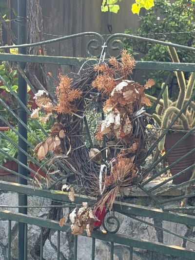 A close-up shot captures a rustic bird's nest constructed from twigs, dried leaves, and other natural materials. The nest is adorned with dried brown leaves and some wispy brown foliage. It is positioned behind a dark green, ornate metal gate, which features decorative scrollwork.
In the background, a variety of plants are visible. To the left, bright yellow-green leaves catch the sunlight, contrasting with the muted tones of the nest. Behind the nest, a long, segmented cactus with numerous spines stretches across the frame, suggesting a sunny outdoor environment. Further in the background, a stone wall is visible through the gate, hinting at the setting's architecture.
The lighting suggests it is daytime, with sunlight illuminating parts of the scene, particularly the leaves on the left and highlighting the texture of the cactus and stone wall. The overall impression is one of a natural, perhaps slightly overgrown, outdoor space in a Mediterranean climate, given the presence of succulents and the dry foliage. The scene evokes a sense of nature and perhaps a touch of neglect or a deliberate natural aesthetic. No text is visible in the image.