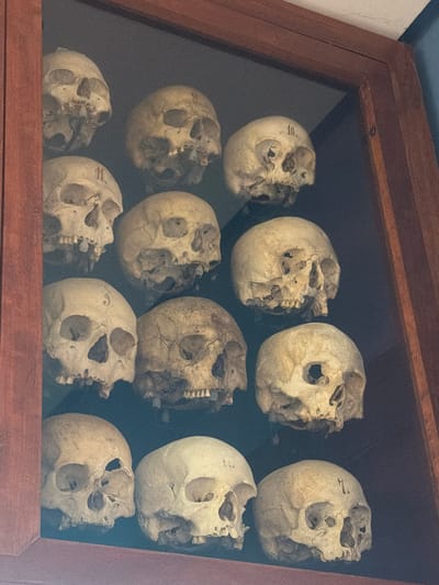 The image shows a display case containing twelve skulls, arranged in three rows of four. The skulls appear to be old and are made of a light-colored material, possibly bone. Some of the skulls have numbers written on them in dark ink. The display case is made of wood and has a glass front, through which the skulls are viewed. The background is dark. The skulls themselves are in varying states of preservation, with some appearing more intact than others. The overall impression is one of a collection of historical or scientific artifacts. There are no discernible location cues within the image itself, other than the stylistic appearance of the display case, which might suggest an older museum or collection. The lighting is consistent and appears to be artificial, illuminating the subjects without casting harsh shadows. The activity taking place is the display of these skulls for viewing. The image does not provide information about the time of day, weather, or emotions. The visible text on the skulls are the numbers "10" on one skull, and "1" on another. The image context suggests the skulls are located in San Cristóbal De La Laguna, Spain.