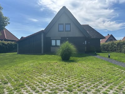 This is a frontal, eye-level, outdoor, full shot of a modern, dark-wood house with a thatched roof and a red-tiled roof section, situated in Ossenzijl, Netherlands. The house is positioned in the center of the frame, with a well-maintained lawn in front. The lawn transitions from a textured paved area in the foreground to a standard grass lawn behind it. A large, fluffy green ornamental grass plant is located centrally in front of the house. To the left of the house, part of another building with a red-tiled roof and dense green hedge is visible. To the right of the house, another building with a red-tiled roof and a chimney is partially visible behind a hedge. A gravel path leads from the house to the right, with two modern black post lights flanking it. The sky is blue with wispy white clouds, indicating a clear day. The house has two windows on the upper level and one on the lower level. The number "59" is visible on the right side of the lower level of the house. The overall scene depicts a residential property on a bright, sunny day.