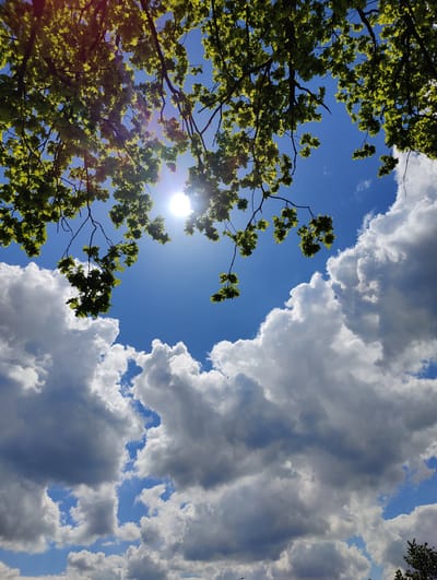 The image is a low-angle shot taken from beneath a tree looking up at the sky. The sky is partly cloudy, with bright blue patches visible between the fluffy white and gray clouds. The sun is visible through the tree branches and leaves, creating a lens flare effect. The tree has fresh green leaves, suggesting it is springtime or early summer. The location is most likely in the city of Oosterhout, Netherlands. No people, objects, actions, or interactions are visible in the image other than the leaves and branches of the tree, clouds, sky and sun.