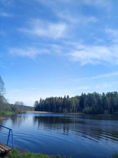 The image depicts a body of water, likely a lake or river, reflecting a blue sky with scattered cirrus clouds. A dense forest lines the opposite shore, composed of deciduous and coniferous trees. In the foreground, a section of a wooden dock with blue railing is visible. The water surface shows subtle ripples, and the vegetation on the near shore consists of green grass and some brush. The location is potentially near Ural'skoe, Russia, indicated by the landscape features.