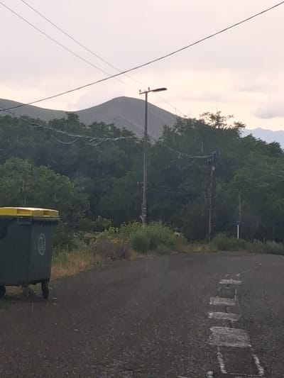 The image depicts an outdoor scene with a green dumpster on the left, featuring a yellow lid and a circular emblem. The dumpster is situated on an asphalt road with white markings. In the background, a dense green foliage of trees forms a backdrop, with a mountain range visible beyond the trees. A utility pole with a lamp and wires crosses the sky. The sky is overcast with clouds. The overall setting appears to be a rural or semi-urban area, possibly in Martiros, Armenia, given the context. There are no people visible in the image.