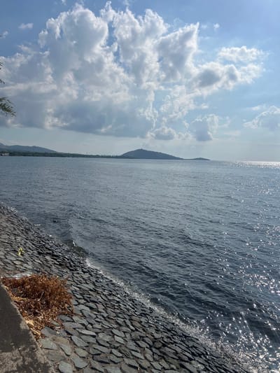 The image shows a body of water with a rocky embankment in the foreground. The water is dark blue and appears calm with small ripples reflecting sunlight. The embankment is made of dark gray stones laid out in a pattern. On the left side of the embankment, there is a pile of dried brown leaves and some debris. In the background, there is a distant shoreline with green hills and a clear blue sky filled with white, fluffy clouds. The overall scene depicts a waterfront area, likely in a coastal or lake region. The specific location is identified as Gerokgak, Indonesia, suggesting a tropical or subtropical environment given the vegetation and sky conditions. There are no people or animals visible in the image.
