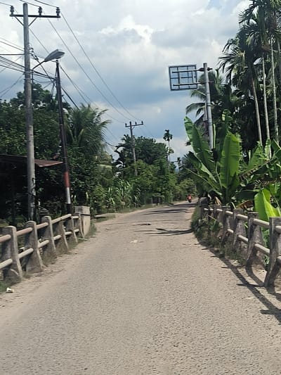 This image depicts a rural road in Kruengmanyang, Indonesia, under a cloudy sky. The road, paved with asphalt, appears weathered with visible cracks and potholes. On the left side of the road, a concrete barrier with wooden rails lines the edge, leading towards a prominent utility pole supporting numerous electrical wires and a street lamp. Dense green foliage, including trees and large-leafed plants, borders the road on both sides, with palm trees visible on the right. In the distance, a person on a motorcycle is seen traveling away from the camera. A rectangular traffic sign is mounted on a pole in the upper right portion of the frame, partially obscured by palm trees. The overall scene suggests a typical day in a tropical, possibly developing, region.