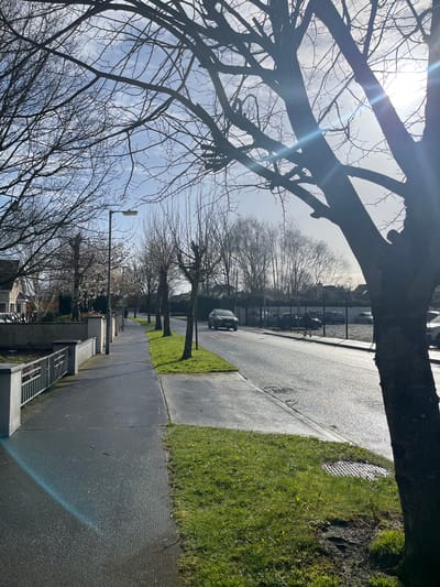 This image depicts a street scene in Tullamore, Ireland, under a bright, partly cloudy sky with the sun visible on the upper right, causing a prominent lens flare. The asphalt road and the concrete footpath are uniformly wet, reflecting light.
In the immediate foreground, a large, silhouetted deciduous tree with bare branches partially frames the upper right. Green grass, with some muddy patches, extends from the base of this tree towards the road, where a circular metal manhole cover is visible.
To the left, a concrete footpath runs parallel to the street, bordered by a low concrete wall with square pillars and a decorative metal railing. A narrow strip of vibrant green grass separates the footpath from the asphalt road. Along the footpath, multiple bare deciduous trees line the street, interspersed with streetlights, one of which stands prominently in the mid-left. Further down the footpath, a deciduous tree displays white blossoms.
On the wet asphalt road, a dark-colored SUV is observed driving away from the viewer in the midground. To the right of the road, behind a dark mesh fence, a parking area contains several parked vehicles. A person, clad in dark clothing, walks on the pavement adjacent to this parking area, moving away from the viewer. Another figure is faintly discernible in the far distance on the main footpath to the left.
The background shows additional bare trees and indistinct structures under the bright sky. The combination of leafless trees and one blossoming tree suggests a seasonal transition, likely late winter or early spring.