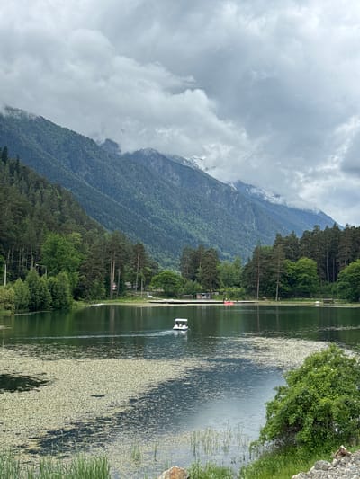 A wide shot captures a serene lake in the city of Verkhnyaya Teberda, Russia, framed by lush green forests and imposing mountains. The lake is partially covered with a dense carpet of aquatic plants, creating a textured foreground. A small, white boat with a canopy is seen moving across the water, leaving a gentle wake. In the background, a dense forest lines the base of the mountains, which are shrouded in soft, grey clouds. The overall mood is tranquil and natural, with a hint of dramatic weather from the cloudy sky.