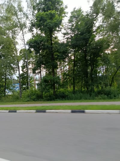 This is a landscape photograph of a road and a treeline, likely taken from a moving vehicle. The foreground is dominated by a gray asphalt road, showing motion blur. To the left of the road, a strip of green grass runs parallel to the road, bordered by a concrete curb with alternating black and white sections. Beyond the grass is a dense line of trees, predominantly deciduous with varying shades of green foliage. Some of the trees are tall and slender, with lighter bark, possibly birches, while others are broader and darker. In the background, the trees form a thick canopy against a bright, overcast sky.
On the left side of the frame, nestled within the trees, is a building with a distinctive pattern of blue and white rectangular tiles. This building suggests an urban or suburban setting. The overall impression is one of a bright, possibly humid day, with the overcast sky indicating diffused light. The motion blur suggests the photograph was taken while traveling at a moderate speed. The presence of trees, a road, and a building points to a location within or on the edge of a populated area. Given the context, the location is likely Novozybkov, Russia. No people are visible in the frame. There is no visible text in the image.